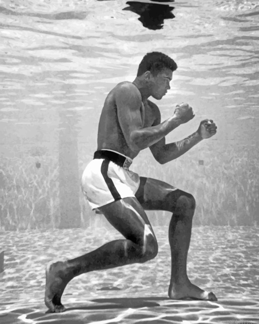 Muhammad Ali Painting By Numbers.png