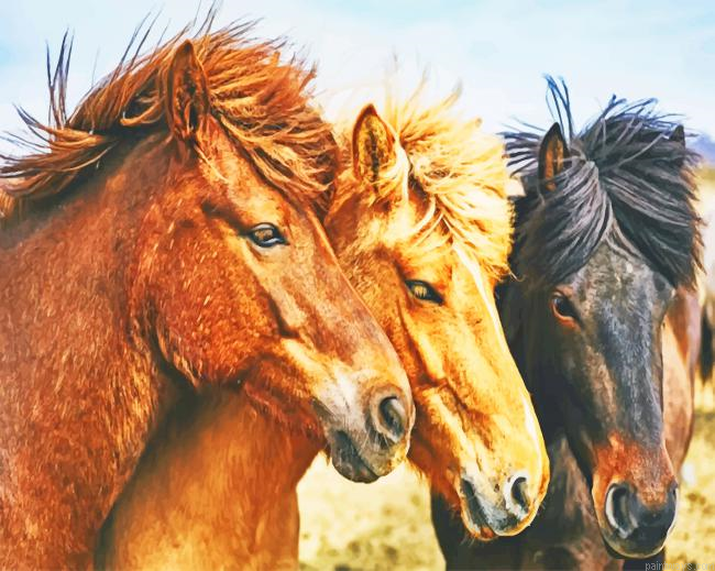 Multi Colored Horses New Painting By Numberss.png