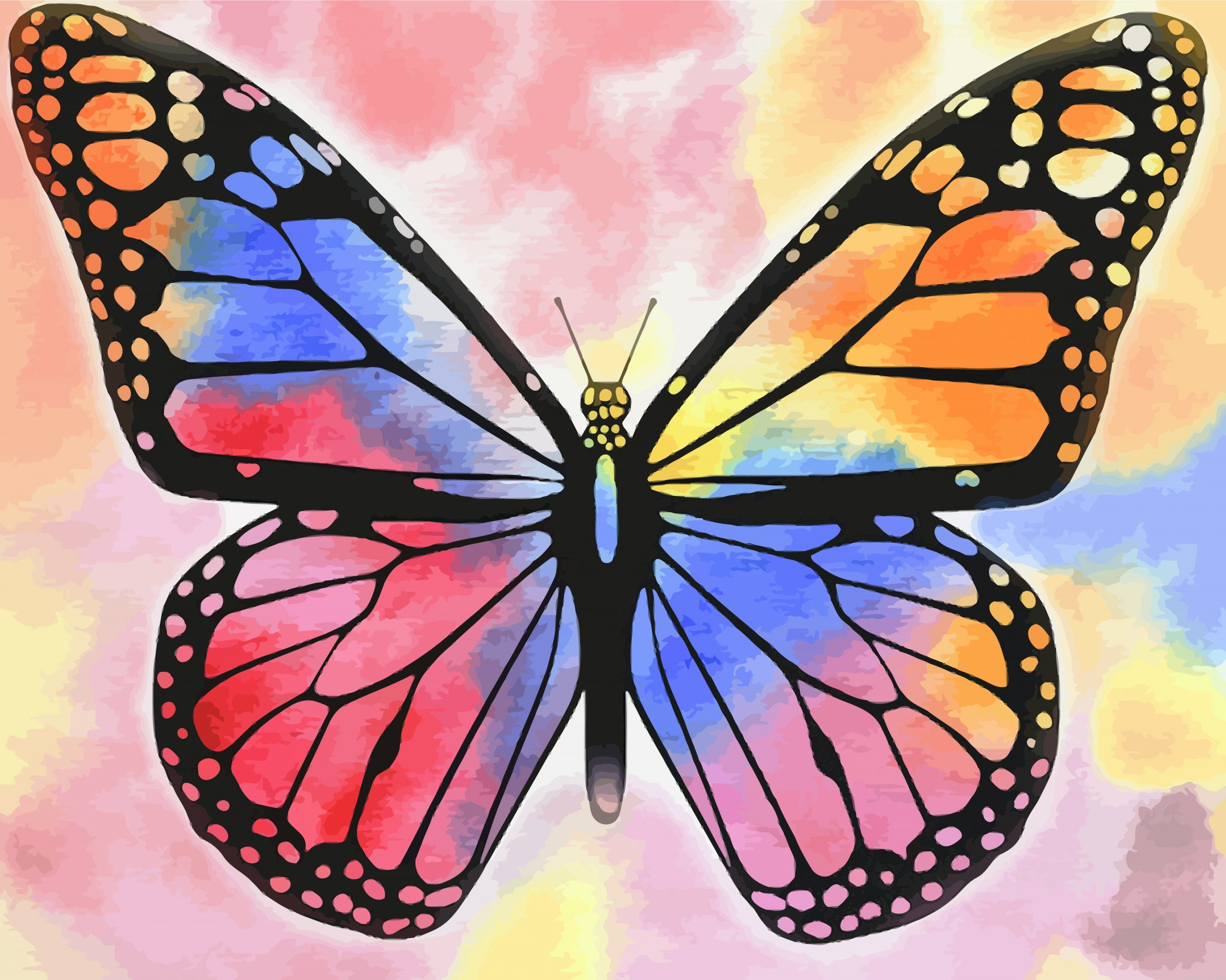 Multicolored Butterfly Painting By Numbers.png
