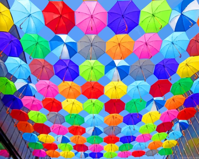 Multicolored Umbrellas Colorful Painting By Numberss.png