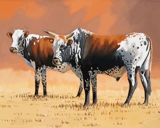 Nguni Cows Painting By Numbers.png