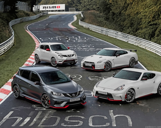 Nissan Cars Collection Cars Painting By Numberss.png