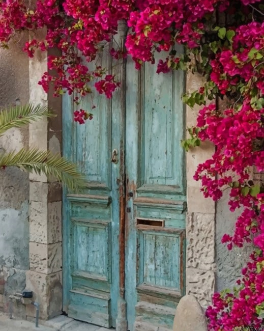 Old Doorways With Flowers New Painting By Numberss.png