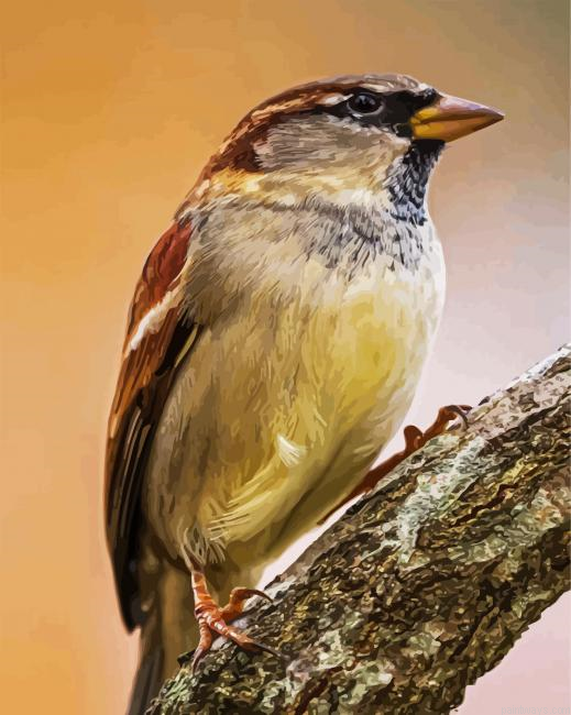 Old World Sparrows Painting By Numberss.png