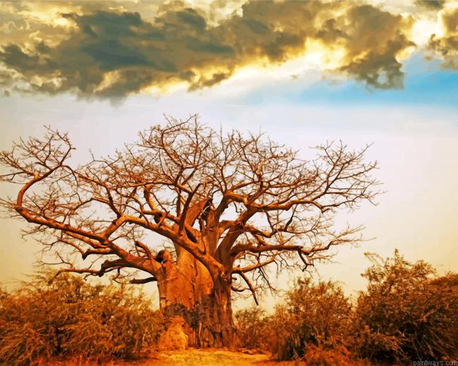 Oldest Baobab Tree Painting By Numberss.png
