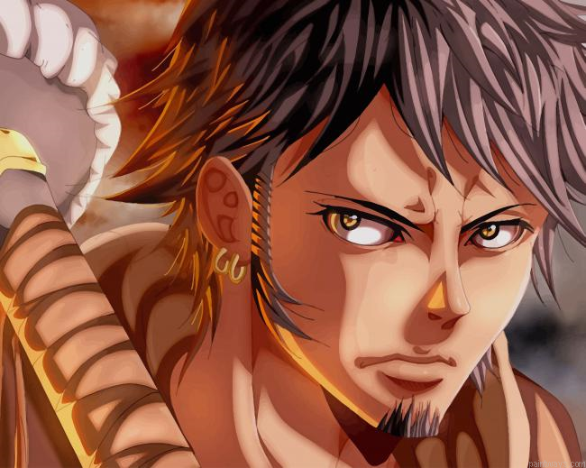 One Piece Character New Painting By Numberss.png