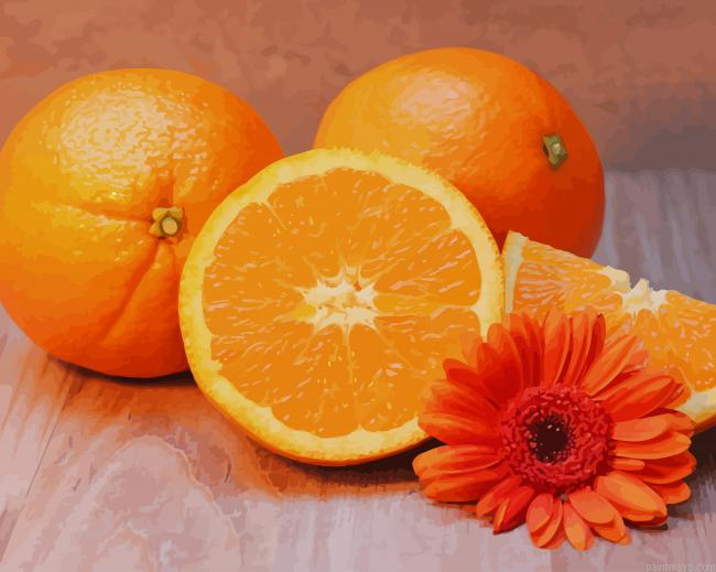 Oranges With Flowers New Painting By Numberss.png