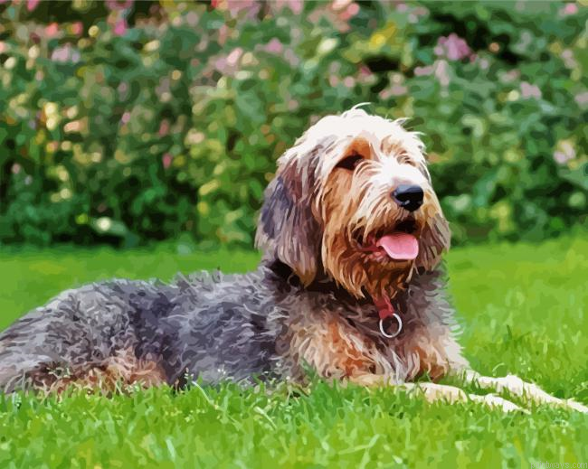 Otterhound Dog Painting By Numberss.png