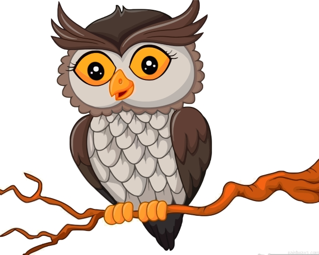 Owl Bird Painting By Numbers.png