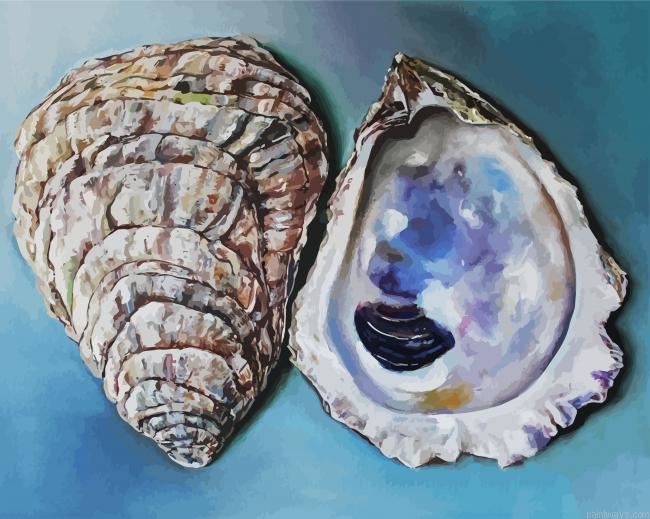 Oyster Shells Painting By Numberss.png