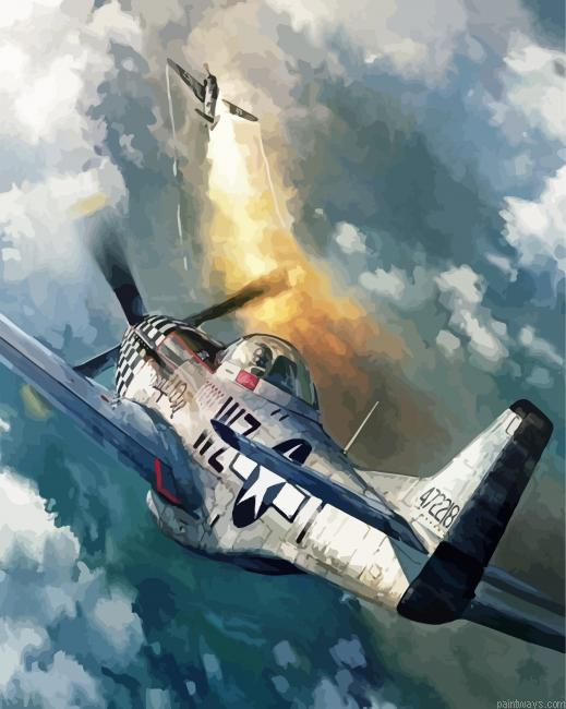 P52 Mustang Plane Painting By Numberss.png