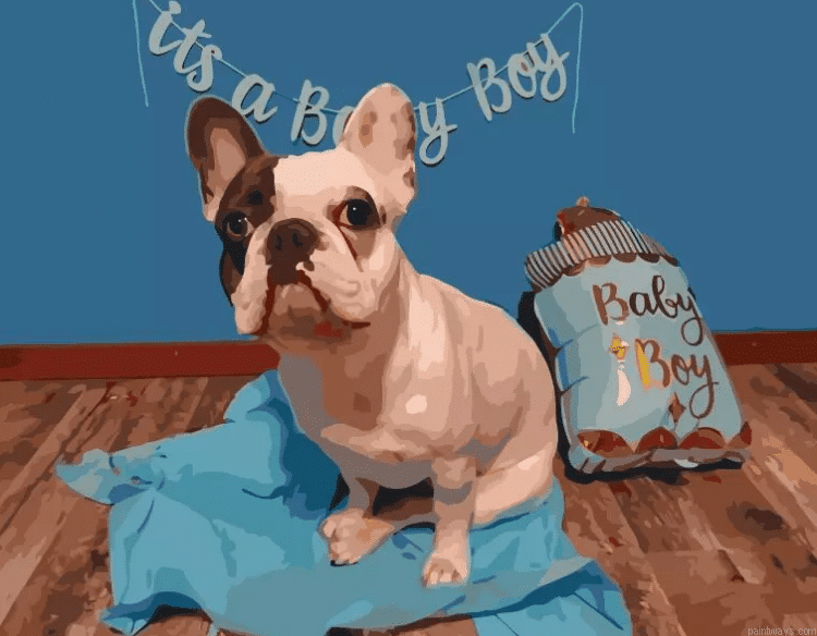 Paint By Number Beginner.png