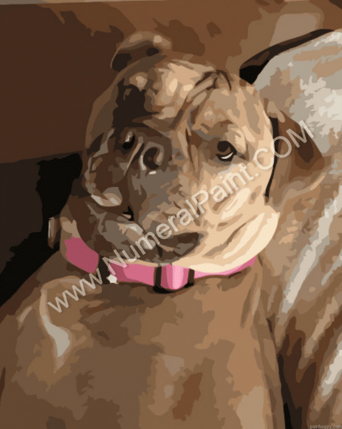 Paint Your Dog.png