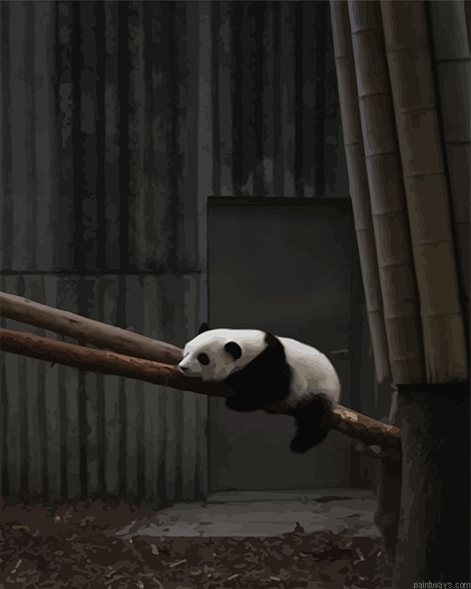Panda Sad New Painting By Numberss.png
