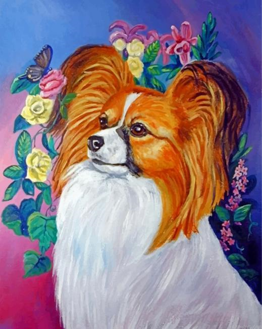 Papillon Dog Painting By Numbers.png