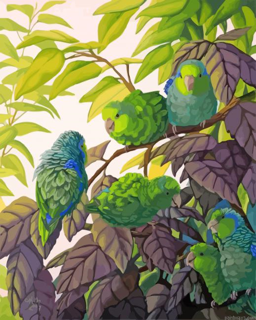Parrotlet Birds Painting By Numberss.png