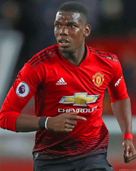 Paul Pogba Player Painting By Numbers.png