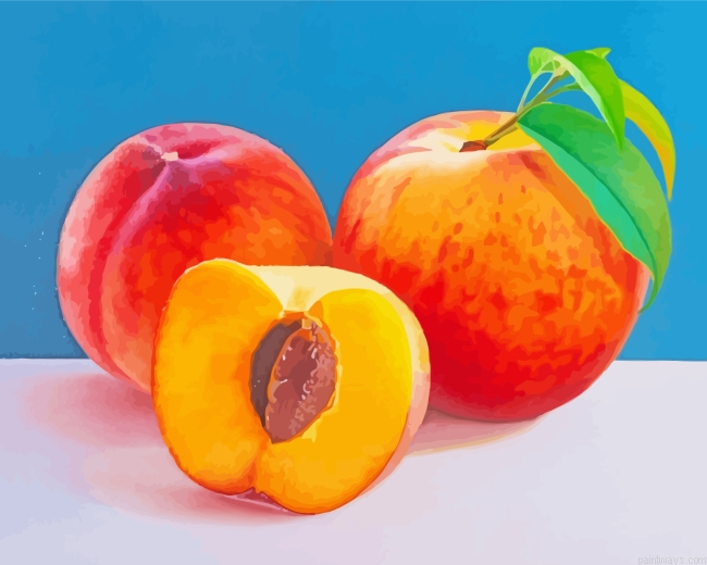 Peach Fresh Fruit Painting By Numberss.png