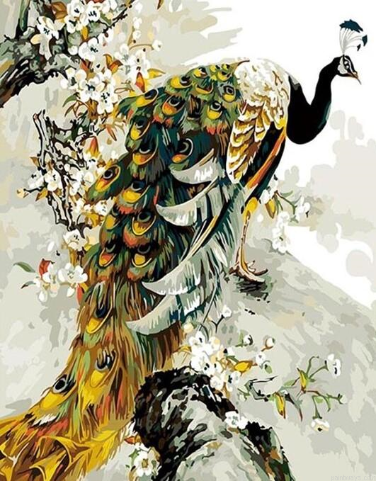 Peacock Animals Diy Painting By Numberss.png