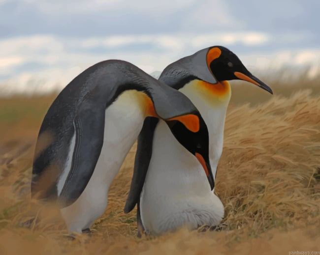 Penguin Emperors Birds Painting By Numberss.png