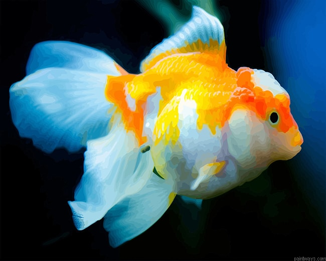 Pet Goldfish Painting By Numbers.png