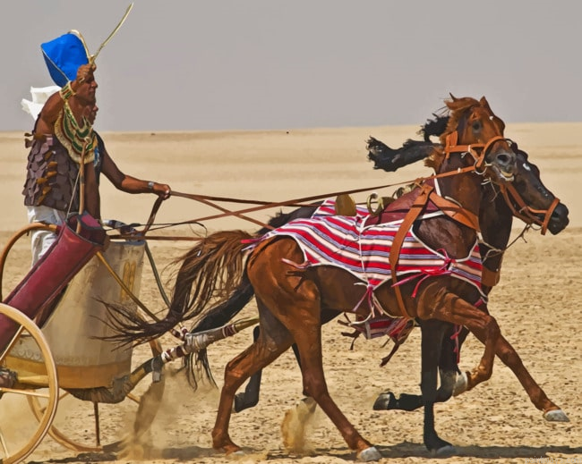 Pharaohs Horses Chariot Animals Painting By Numberss.png