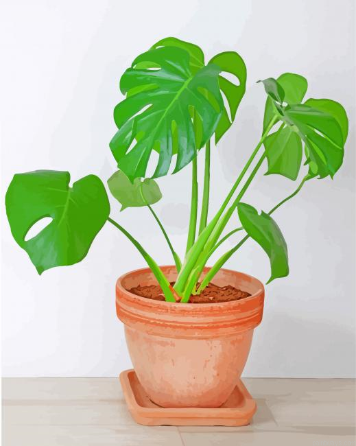 Philodendron Painting By Numbers.png