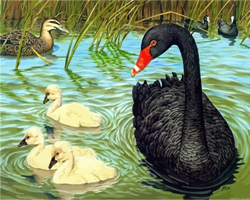 Picture Duck Animals Diy Painting By Numberss.png