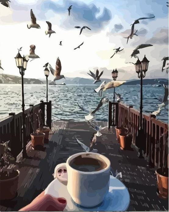 Picture Seagull Diy Painting By Numberss.png