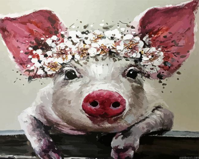 Pig With Flowers Painting By Numberss.png