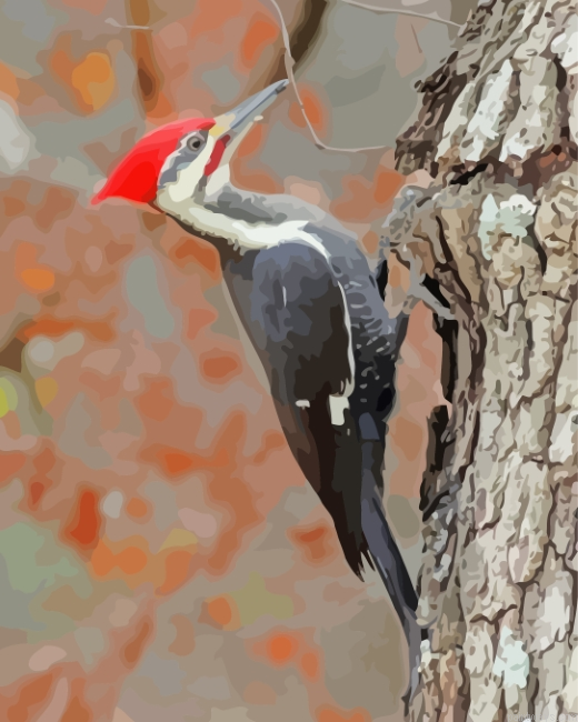 Pileated Woodpecker Bird Painting By Numberss.png