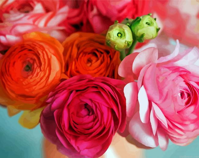 Pink And Orange Ranunculus Painting By Numberss.png