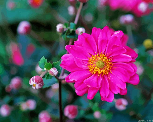 Pink Anemone Flower Painting By Numberss.png