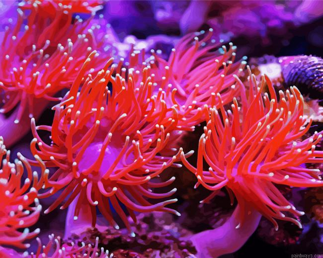 Pink Anemones Painting By Numberss.png