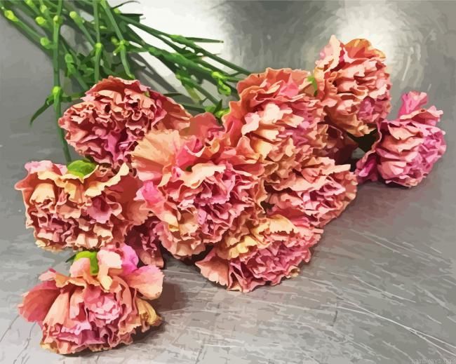 Pink Carnations Bouquet Painting By Numberss.png