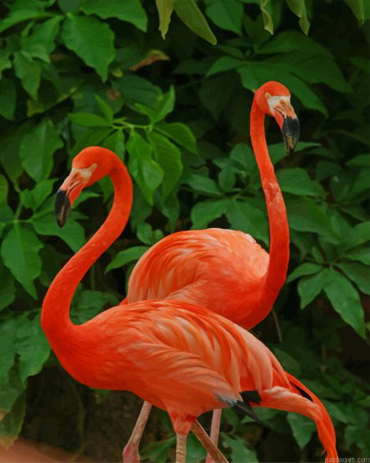 Pink Flamingo New Painting By Numberss.png