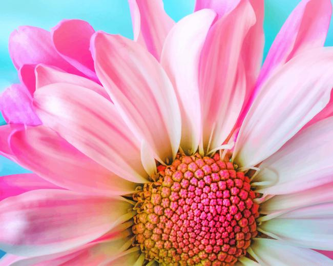 Pink Flower New Painting By Numberss.png