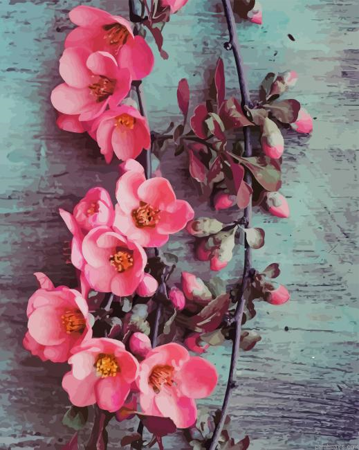 Pink Flowers New Painting By Numberss.png
