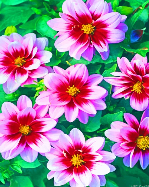Pink Flowers Painting By Numberss.png