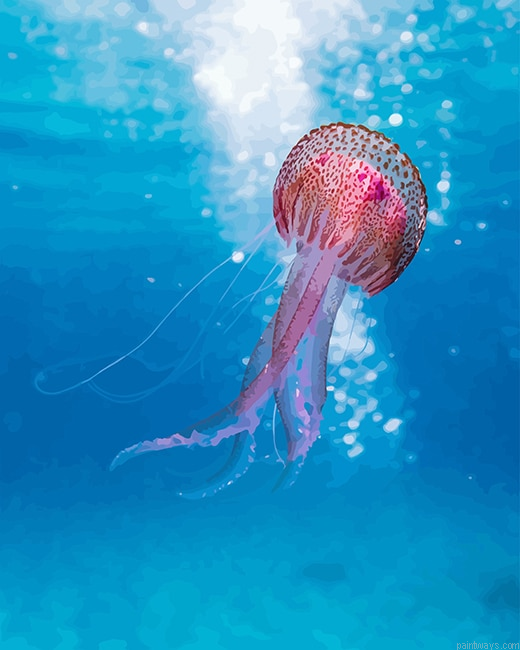 Pink Jellyfish Animals Painting By Numberss.png