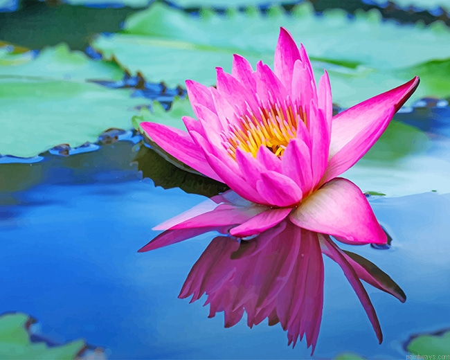 Pink Lotus New Painting By Numberss.png