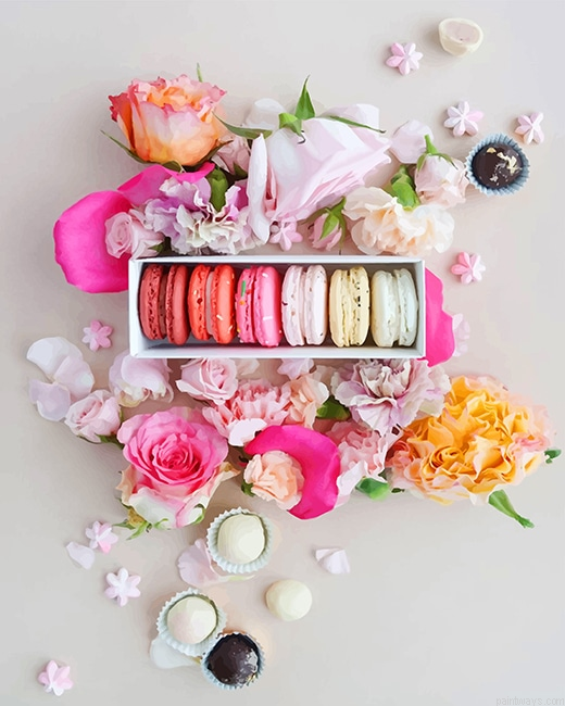 Pink Macarons With Flowers New Painting By Numberss.png