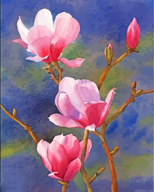 Pink Magnolia Painting By Numberss.png