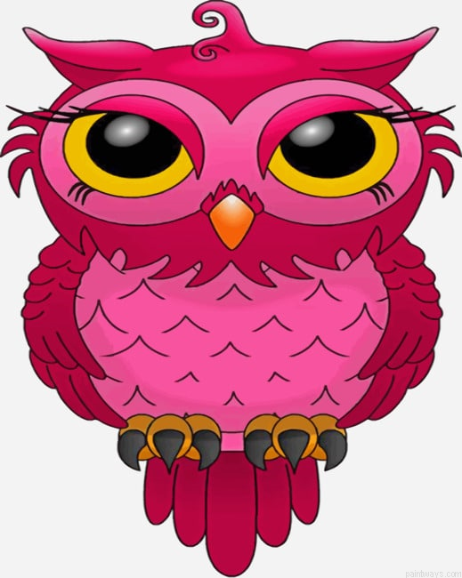 Pink Owl Birds Painting By Numberss.png