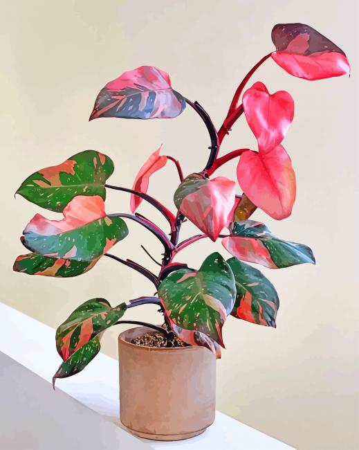 Pink Philodendron Painting By Numbers.png