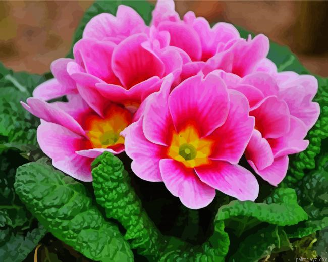 Pink Primrose Flower Painting By Numberss.png