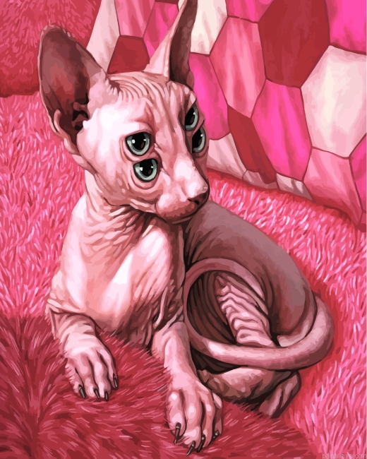 Pink Sphinx Painting By Numbers.png