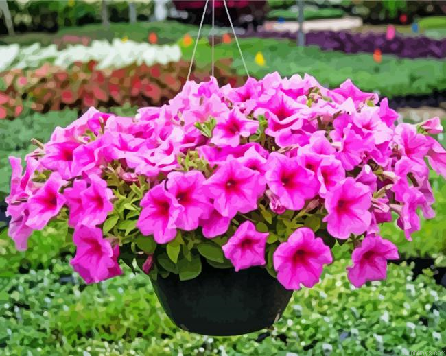 Pink Wave Petunia Painting By Numberss.png