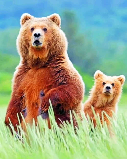 Pizzly Bears Animals Painting By Numberss.png