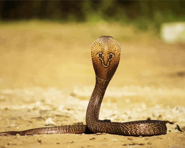 Poisonous Cobra Painting By Numberss.png